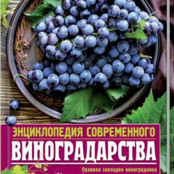 энциклопедия современного виноградарства